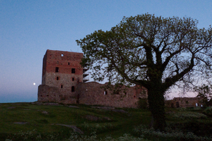 Ruins + Tree + Moon