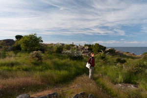 Iron age graves