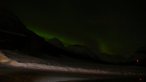 Tromsø, Arctic Circle, Lights, Dogs, Oslo