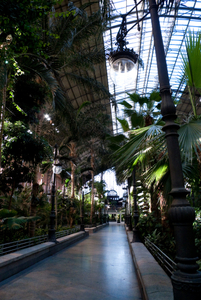 Inside Atocha, more plants.